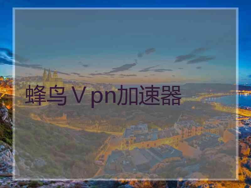 蜂鸟Ⅴpn加速器