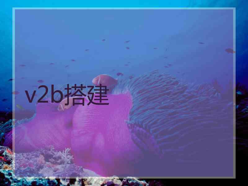 v2b搭建