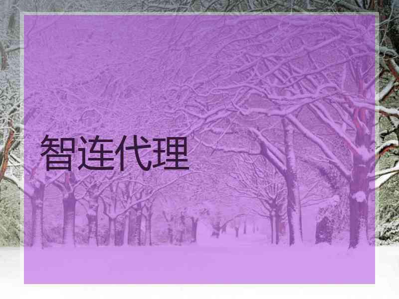 智连代理