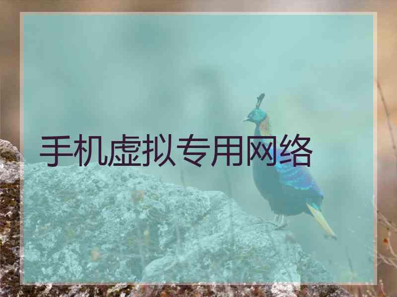 手机虚拟专用网络