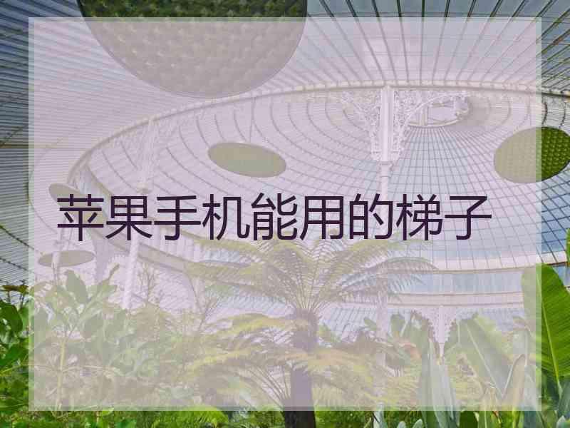 苹果手机能用的梯子
