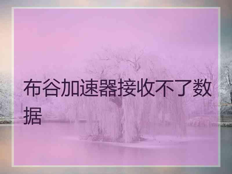 布谷加速器接收不了数据