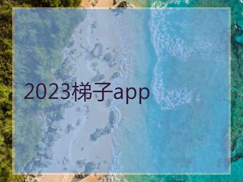 2023梯子app