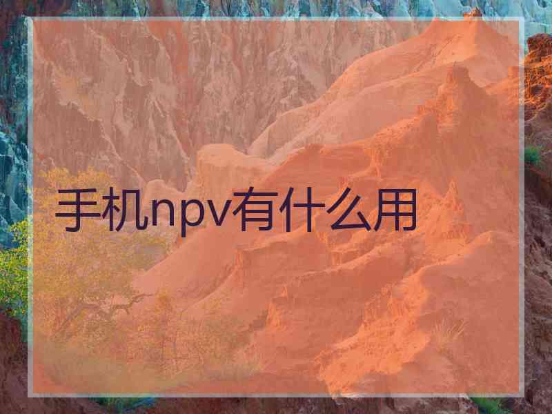 手机npv有什么用