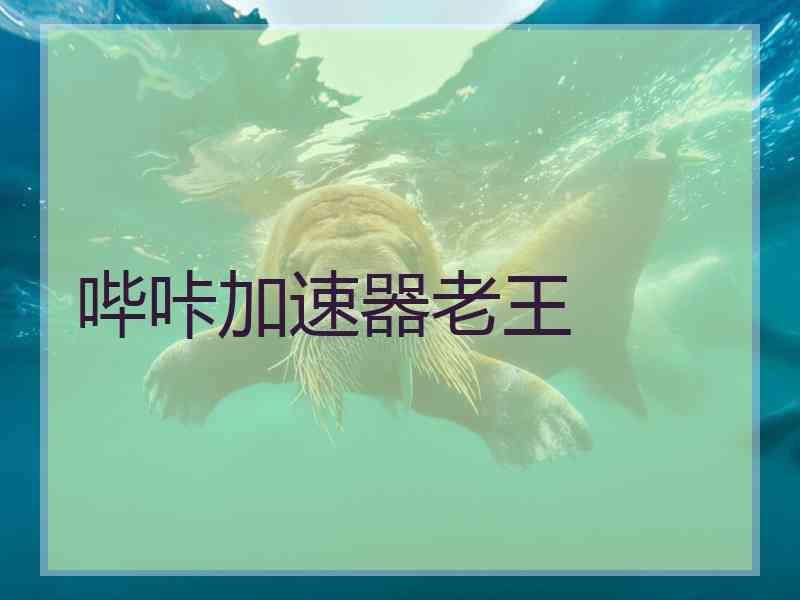 哔咔加速器老王