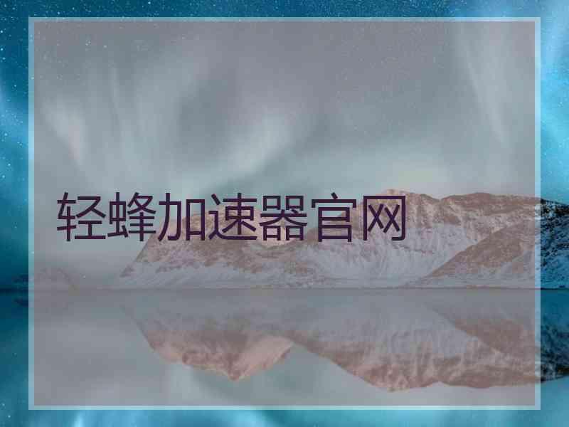 轻蜂加速器官网