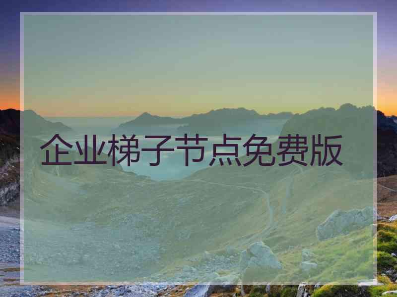 企业梯子节点免费版