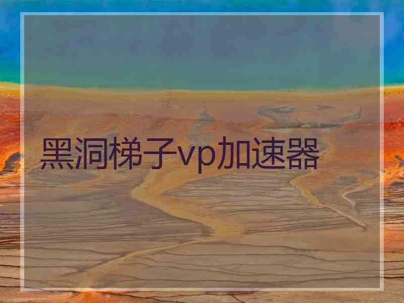 黑洞梯子vp加速器