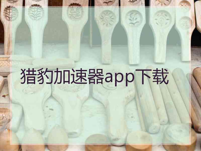 猎豹加速器app下载