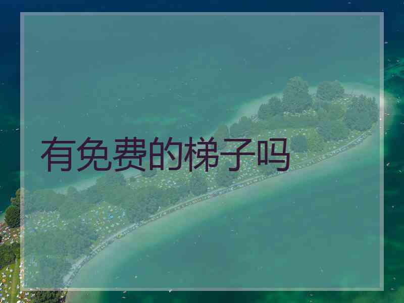 有免费的梯子吗