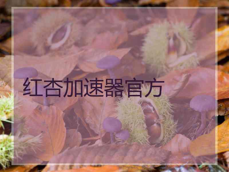 红杏加速器官方