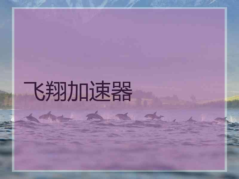 飞翔加速器