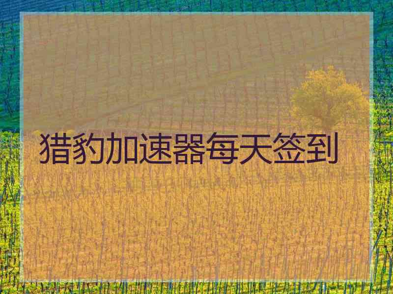 猎豹加速器每天签到