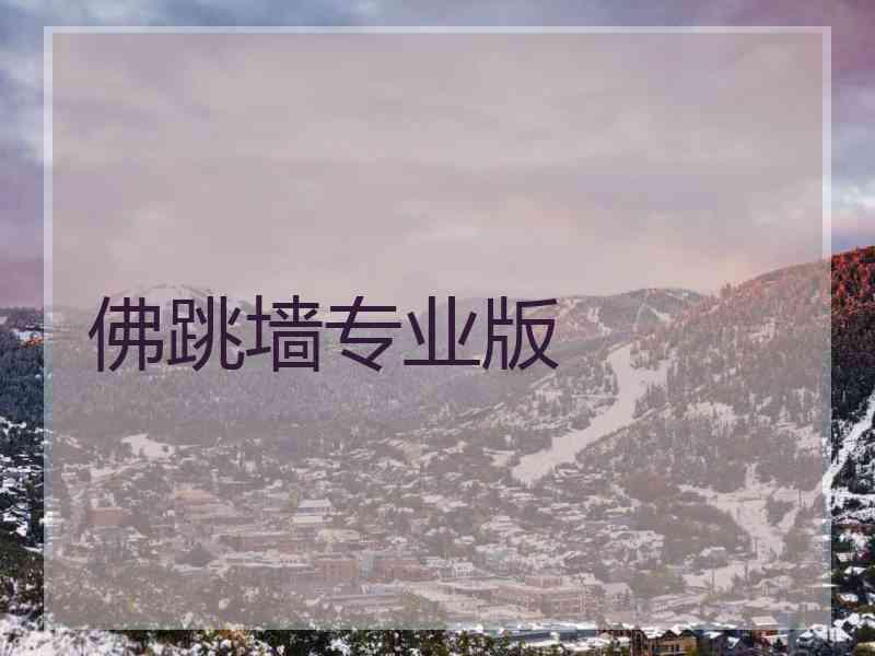 佛跳墙专业版