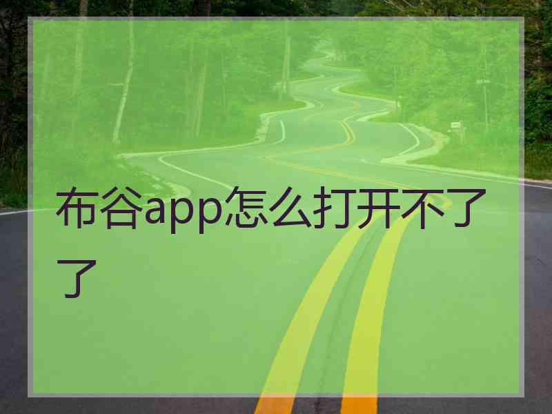 布谷app怎么打开不了了