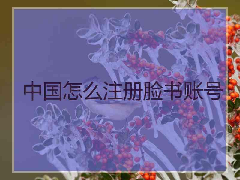 中国怎么注册脸书账号