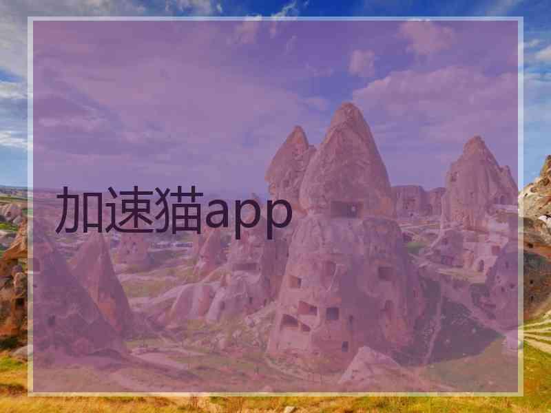 加速猫app