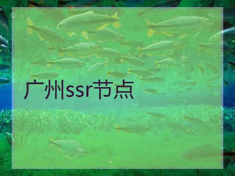 广州ssr节点