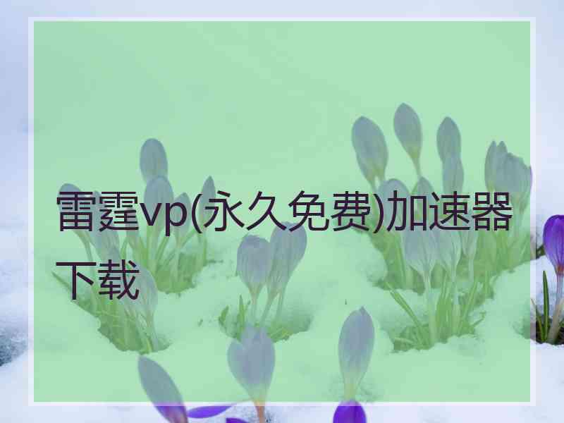 雷霆vp(永久免费)加速器下载