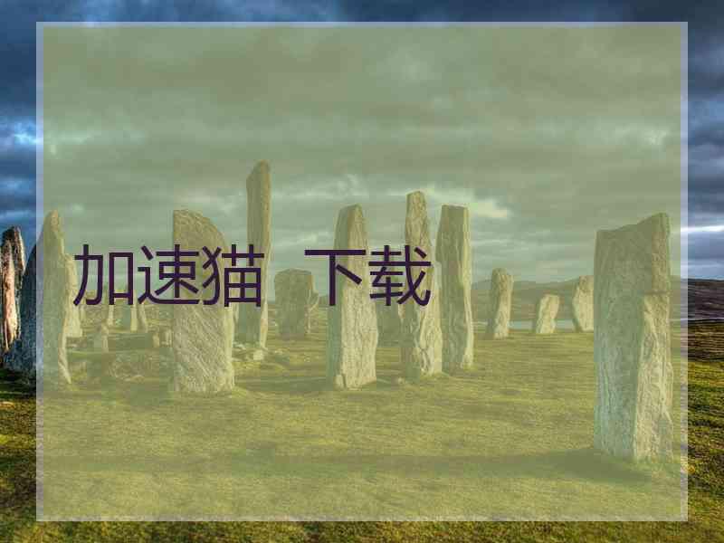 加速猫  下载