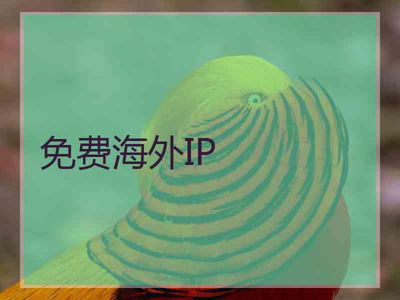 免费海外IP