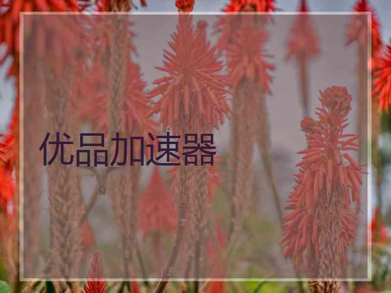 优品加速器