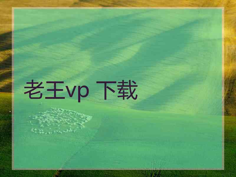 老王vp 下载