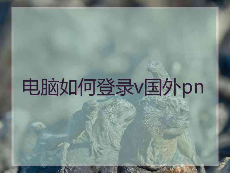 电脑如何登录v国外pn