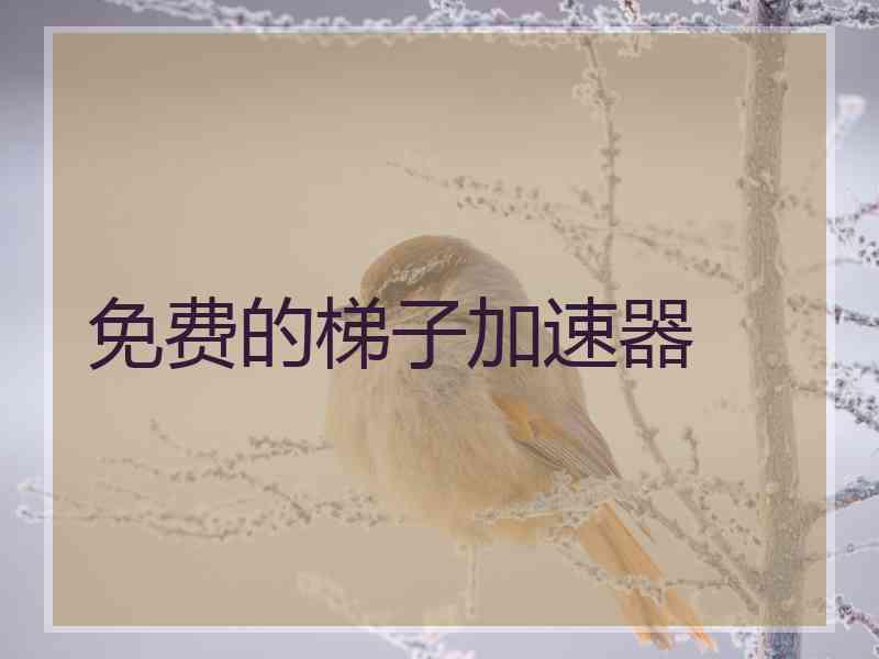 免费的梯子加速器