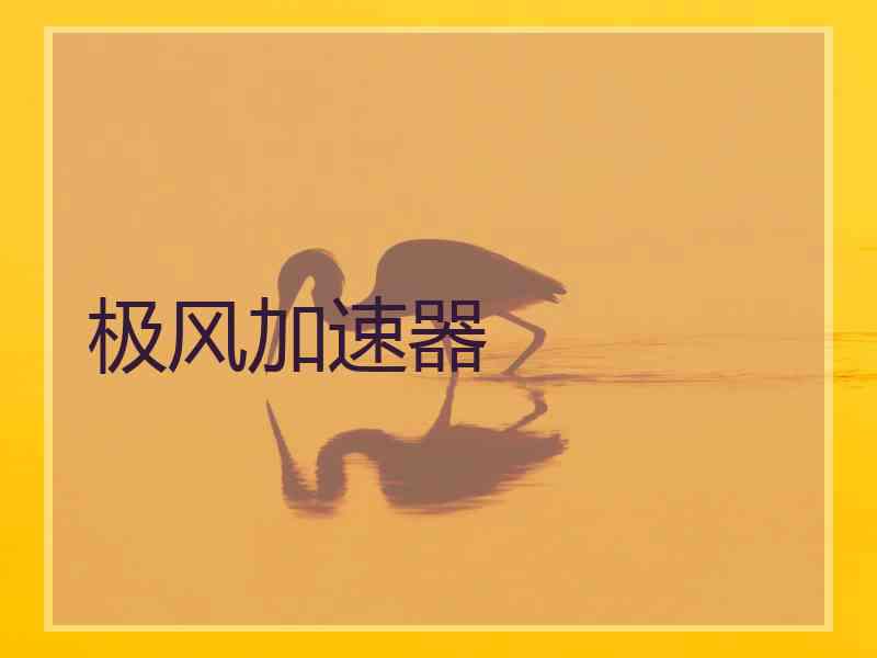 极风加速器