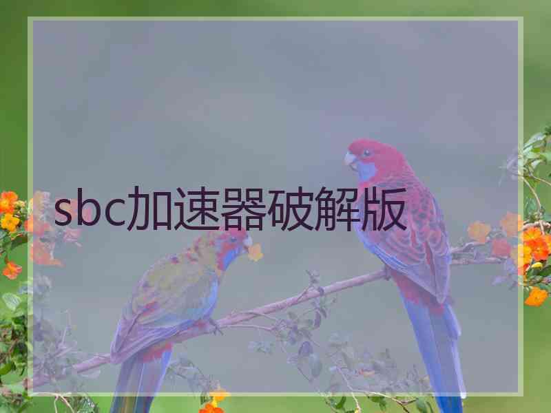 sbc加速器破解版