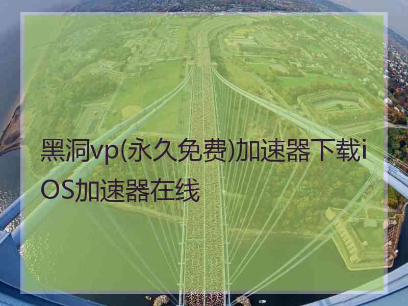 黑洞vp(永久免费)加速器下载iOS加速器在线