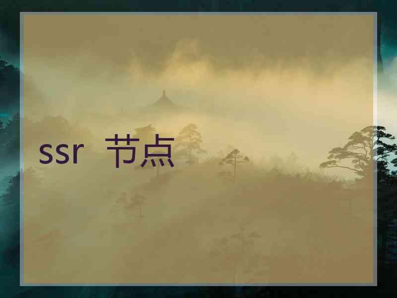 ssr  节点
