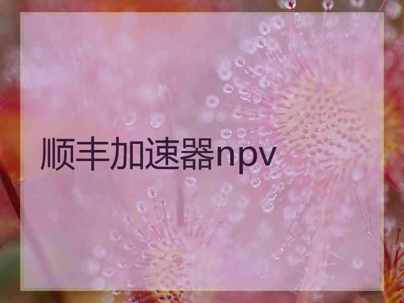 顺丰加速器npv