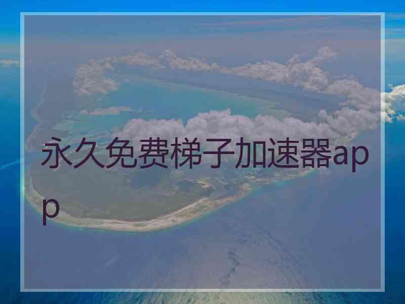 永久免费梯子加速器app