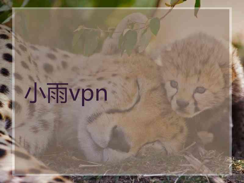 小雨vpn