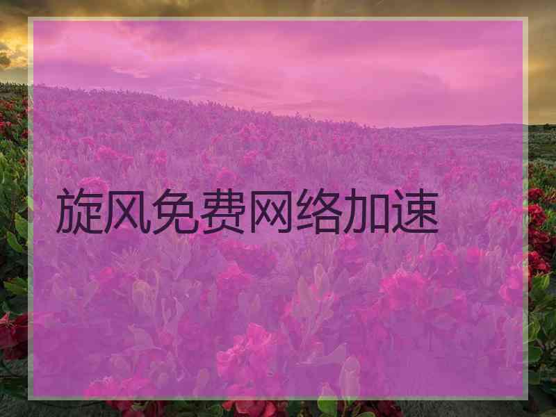 旋风免费网络加速