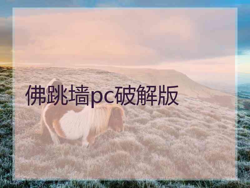 佛跳墙pc破解版
