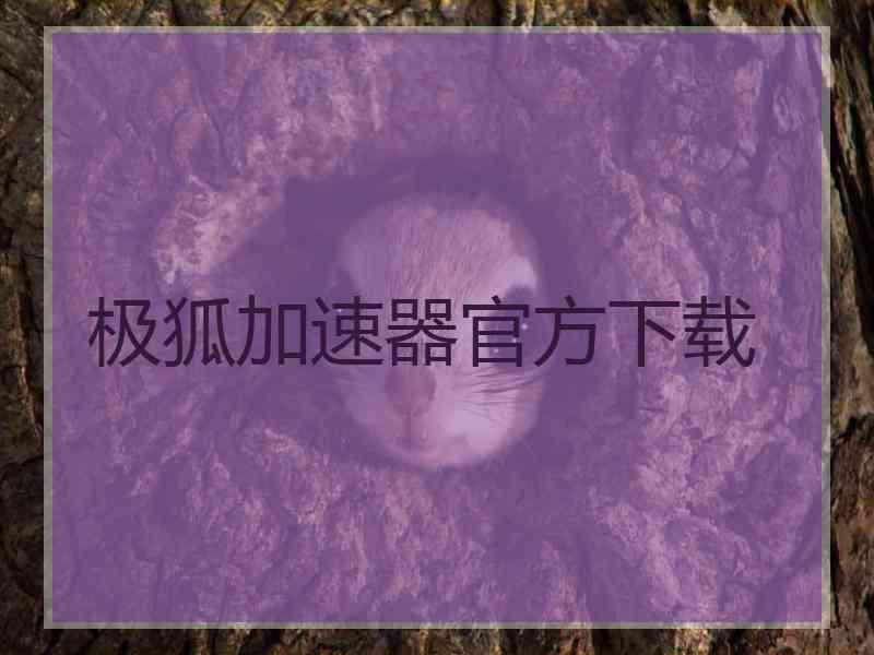 极狐加速器官方下载
