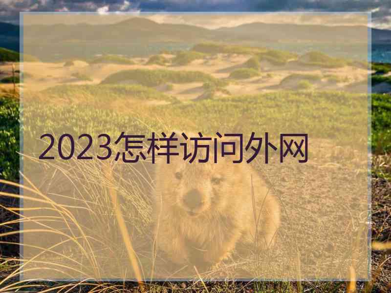 2023怎样访问外网