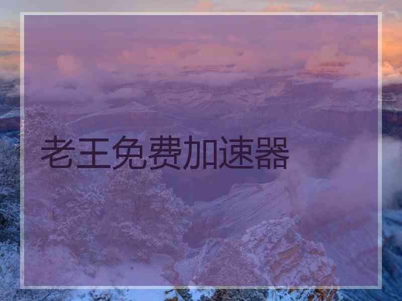 老王免费加速器