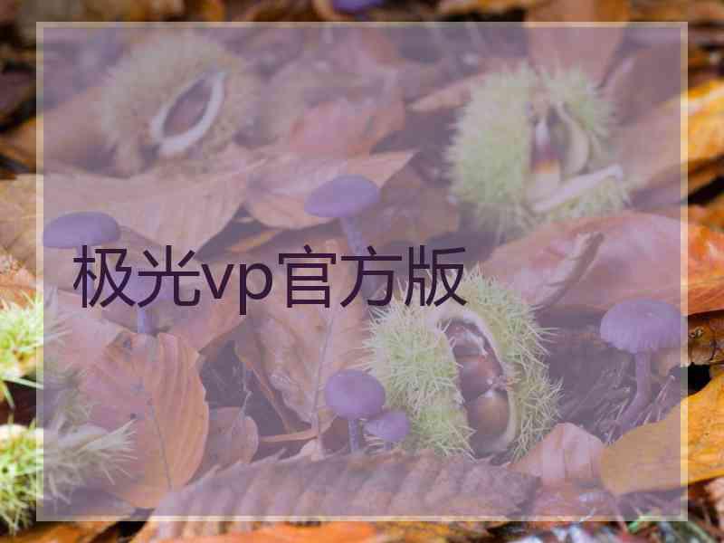 极光vp官方版