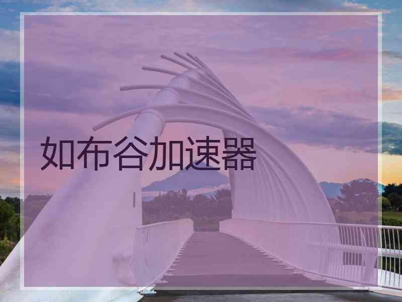 如布谷加速器