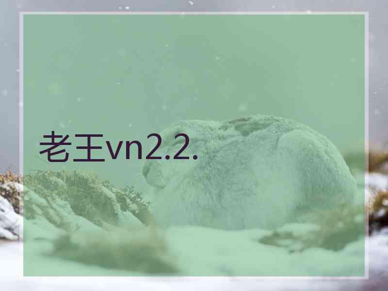 老王vn2.2.