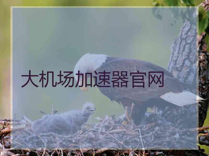 大机场加速器官网
