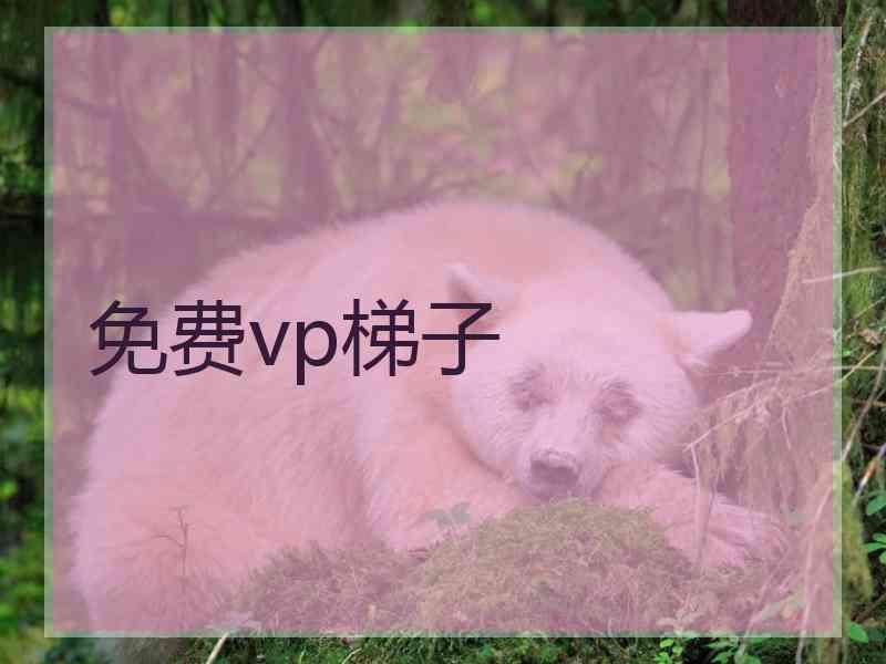 免费vp梯子