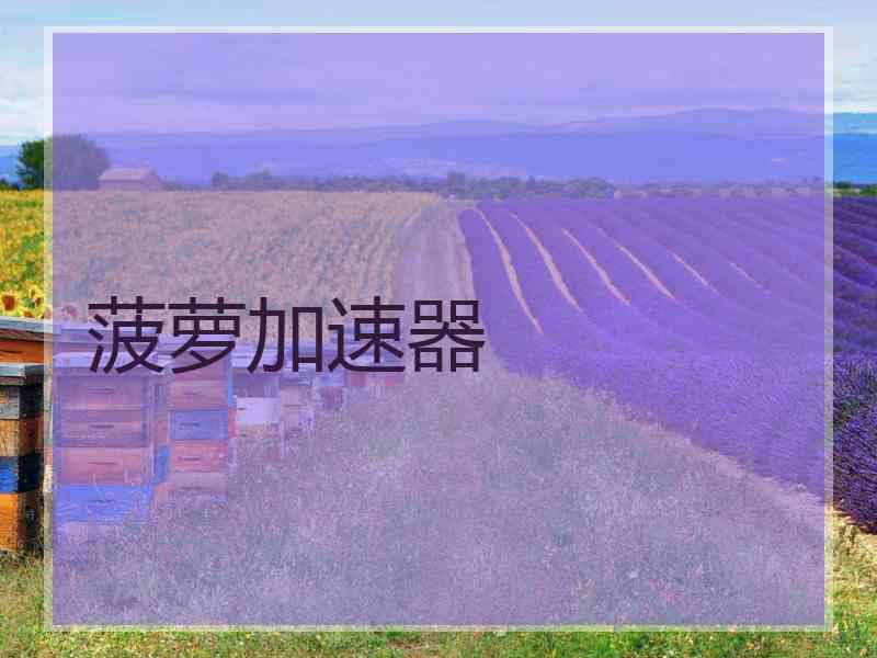 菠萝加速器