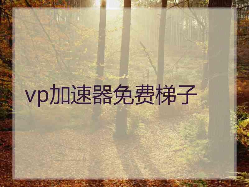 vp加速器免费梯子