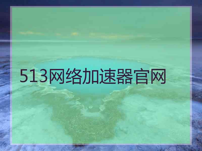 513网络加速器官网
