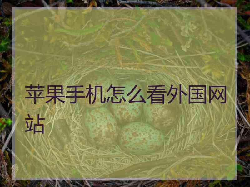 苹果手机怎么看外国网站